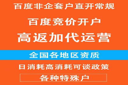 SEM代理助力企业：成功案例分析